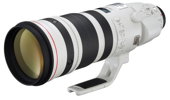 Canon EF 200-400mm f/4 IS L p Objektivguiden ()