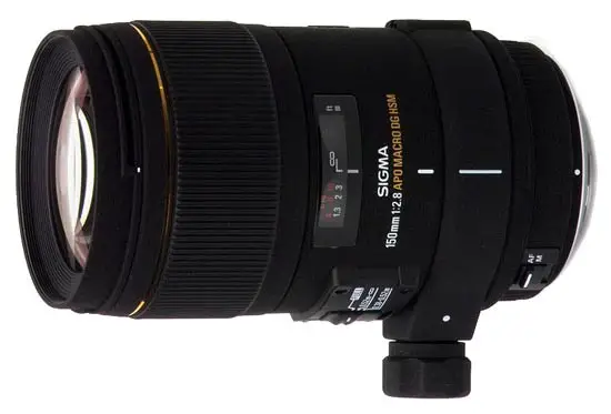 Sigma EX 150mm f/2,8 DG HSM APO Macro - Objektivguiden