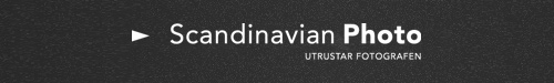 Scandinavian Photo Logo / Scandinavian Photo Logotype